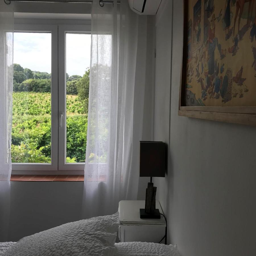 Chambres D'Hotes Et Gites Le Mas Mellou Orange  Esterno foto